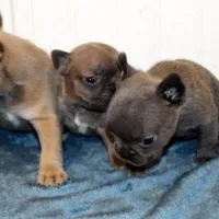 processed/8cc9b2c2-fd7c-4f4a-a43b-20e4d8196c42/facility/dcd325dc-85bf-4f3f-9799-3f5c3b21ccd3