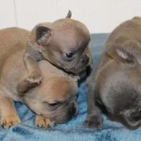 processed/8cc9b2c2-fd7c-4f4a-a43b-20e4d8196c42/facility/f454b2b3-80bc-4a6b-98f5-c890f6d614e9