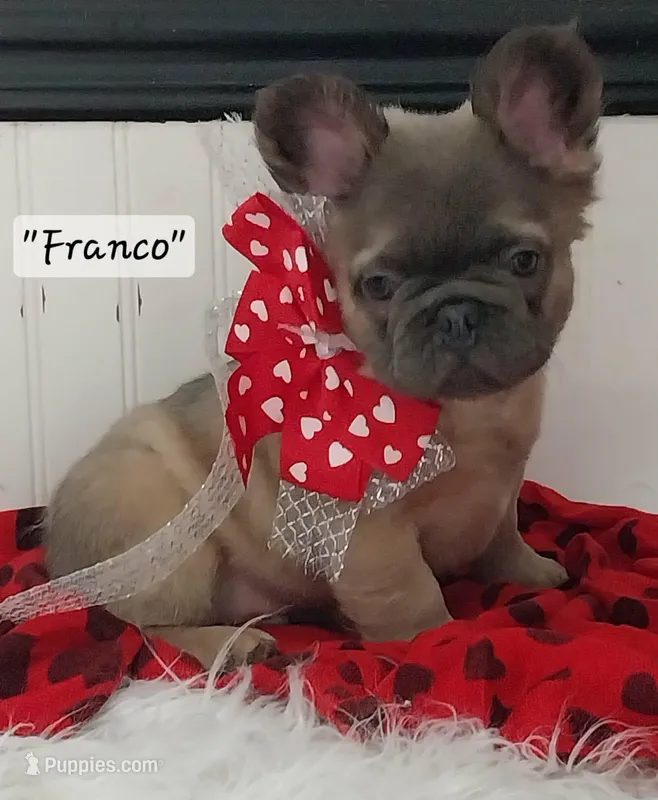 Franco