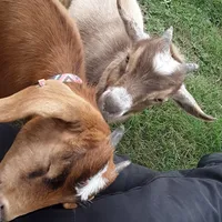 processed/8ccc49e9-57a7-46cc-8ce0-f4cf27a7bfdf/facility/1bb65639-c6b2-488d-ac34-6818b0e4bac2