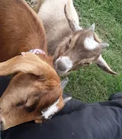 processed/8ccc49e9-57a7-46cc-8ce0-f4cf27a7bfdf/facility/1bb65639-c6b2-488d-ac34-6818b0e4bac2