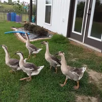 processed/8ccc49e9-57a7-46cc-8ce0-f4cf27a7bfdf/facility/7709eb53-5392-4292-af0b-3f9e6d02dffe