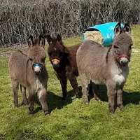 processed/8ccc49e9-57a7-46cc-8ce0-f4cf27a7bfdf/facility/9b55a2db-0bdb-4a09-ad2d-917f9d52f2e6