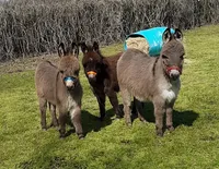 processed/8ccc49e9-57a7-46cc-8ce0-f4cf27a7bfdf/facility/9b55a2db-0bdb-4a09-ad2d-917f9d52f2e6