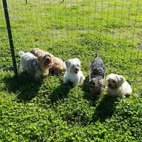 processed/8ccc49e9-57a7-46cc-8ce0-f4cf27a7bfdf/facility/cd135c61-78bc-4939-a837-a8b30e51582f