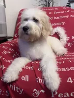 processed/8ccd7095-68fd-4436-874d-03d02e82042c/listing/919eb917-8253-4afe-8b30-70d8fdb697e5/16cc64cd-bfdc-4510-be51-54b9531bc85b