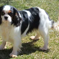 processed/8ccee86e-4573-4f51-9dd3-48b72c2cb46f/facility/042af6f5-5d4e-4eeb-be40-7a41a59839d4