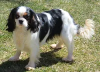 processed/8ccee86e-4573-4f51-9dd3-48b72c2cb46f/facility/042af6f5-5d4e-4eeb-be40-7a41a59839d4