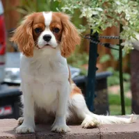 processed/8ccee86e-4573-4f51-9dd3-48b72c2cb46f/facility/17151ae8-6f42-4545-a4bc-1ed2aaaab03d