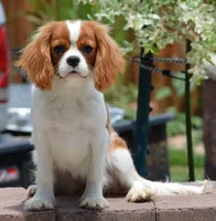 processed/8ccee86e-4573-4f51-9dd3-48b72c2cb46f/facility/17151ae8-6f42-4545-a4bc-1ed2aaaab03d