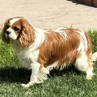 processed/8ccee86e-4573-4f51-9dd3-48b72c2cb46f/facility/2b1dafb1-b64c-4b9b-bba4-2ed6c2630ea8