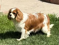 processed/8ccee86e-4573-4f51-9dd3-48b72c2cb46f/facility/2b1dafb1-b64c-4b9b-bba4-2ed6c2630ea8