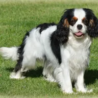 processed/8ccee86e-4573-4f51-9dd3-48b72c2cb46f/facility/4a54552f-8c02-4215-b6a7-2012ef0a5367