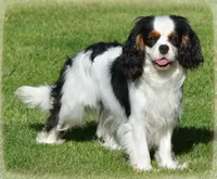 processed/8ccee86e-4573-4f51-9dd3-48b72c2cb46f/facility/4a54552f-8c02-4215-b6a7-2012ef0a5367