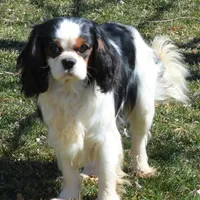 processed/8ccee86e-4573-4f51-9dd3-48b72c2cb46f/facility/7b373a8f-38b5-4516-99f9-6bdc66d18771