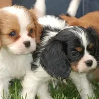 processed/8ccee86e-4573-4f51-9dd3-48b72c2cb46f/facility/7ece7349-7a69-4376-924e-9ccae2e344a1