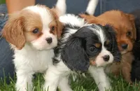 processed/8ccee86e-4573-4f51-9dd3-48b72c2cb46f/facility/7ece7349-7a69-4376-924e-9ccae2e344a1