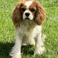 processed/8ccee86e-4573-4f51-9dd3-48b72c2cb46f/facility/8cb721d6-e9d3-4522-82dc-4b0c8003aa3d