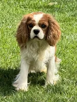 processed/8ccee86e-4573-4f51-9dd3-48b72c2cb46f/facility/8cb721d6-e9d3-4522-82dc-4b0c8003aa3d