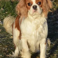 processed/8ccee86e-4573-4f51-9dd3-48b72c2cb46f/facility/a8550a62-ea88-46e3-a6bc-baec3d5df363