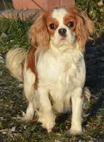 processed/8ccee86e-4573-4f51-9dd3-48b72c2cb46f/facility/a8550a62-ea88-46e3-a6bc-baec3d5df363