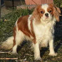 processed/8ccee86e-4573-4f51-9dd3-48b72c2cb46f/facility/bed07fe5-fa51-402d-95e1-48dc38eee68c