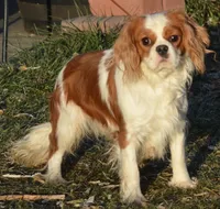 processed/8ccee86e-4573-4f51-9dd3-48b72c2cb46f/facility/bed07fe5-fa51-402d-95e1-48dc38eee68c