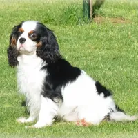 processed/8ccee86e-4573-4f51-9dd3-48b72c2cb46f/facility/da906024-cb0d-45b3-a891-ae8fb6fcf048