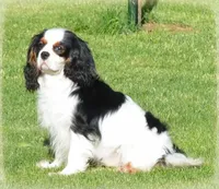 processed/8ccee86e-4573-4f51-9dd3-48b72c2cb46f/facility/da906024-cb0d-45b3-a891-ae8fb6fcf048