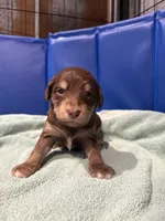 processed/8cdcbfb1-94c5-4e5b-9081-ea6e2323c04d/listing/a68e73a1-bb35-4d79-b1d7-564390746107/310c29ce-d659-41c1-8ea7-8415446e9c9c