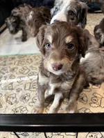 processed/8cdcbfb1-94c5-4e5b-9081-ea6e2323c04d/listing/a68e73a1-bb35-4d79-b1d7-564390746107/7ae09ea1-eb79-4f1c-b65e-7d84442a4a43