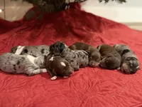 processed/8cdcbfb1-94c5-4e5b-9081-ea6e2323c04d/listing/a68e73a1-bb35-4d79-b1d7-564390746107/ba3c7708-dc70-4375-a3c7-3481ba12c7f7