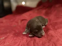 processed/8cdcbfb1-94c5-4e5b-9081-ea6e2323c04d/listing/a68e73a1-bb35-4d79-b1d7-564390746107/c408ff74-445f-4bc9-a67a-c103fe55a1c0