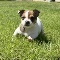 processed/8ce0d779-6f5b-43e5-8e75-8271416b025a/facility/454f071a-8760-4727-b1ca-18ea90630aa2