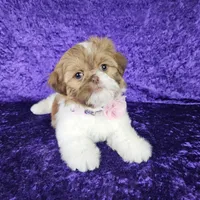 processed/8cec1091-d8f5-475c-9130-d45ff8d73586/facility/217dd6ee-7864-4069-a541-8986f1b9c895