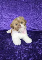 processed/8cec1091-d8f5-475c-9130-d45ff8d73586/facility/217dd6ee-7864-4069-a541-8986f1b9c895