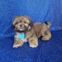 processed/8cec1091-d8f5-475c-9130-d45ff8d73586/facility/338d94e9-33b2-4564-b682-c3e5ea71fc6a