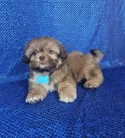 processed/8cec1091-d8f5-475c-9130-d45ff8d73586/facility/338d94e9-33b2-4564-b682-c3e5ea71fc6a