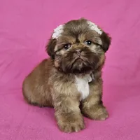 processed/8cec1091-d8f5-475c-9130-d45ff8d73586/facility/4c2f234f-be5d-4efa-8538-7f7c6c02bdbf