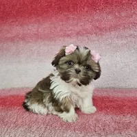 processed/8cec1091-d8f5-475c-9130-d45ff8d73586/facility/c33a5b52-c42b-41c0-9de7-c31e78b576b3