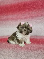 processed/8cec1091-d8f5-475c-9130-d45ff8d73586/facility/c33a5b52-c42b-41c0-9de7-c31e78b576b3