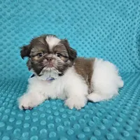 processed/8cec1091-d8f5-475c-9130-d45ff8d73586/facility/d5e30ec8-26f9-4dcb-bfd4-835f9d4f869c