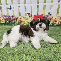 processed/8cec1091-d8f5-475c-9130-d45ff8d73586/facility/e9776b51-12b9-4d84-9093-df21b33472d8