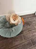 processed/8cf1fa8a-5efd-42b2-aa3d-75d2dc2ee079/facility/1b299d65-b212-4c3f-97a9-a7df0276d9ac