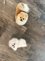 processed/8cf1fa8a-5efd-42b2-aa3d-75d2dc2ee079/facility/cf824650-b7ed-4248-b07b-be8863c41824