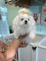 processed/8cf1fa8a-5efd-42b2-aa3d-75d2dc2ee079/listing/2a2cf652-f1df-43bb-8f46-96efdee6ee43/42d30b16-1736-4ea1-9de8-480791e038a2