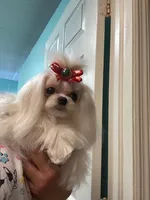 processed/8cf1fa8a-5efd-42b2-aa3d-75d2dc2ee079/listing/2a2cf652-f1df-43bb-8f46-96efdee6ee43/da4baafd-a99e-4504-936c-d3923004e97f