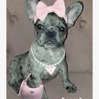 processed/8cf8c400-c38e-4084-9181-9839ad8870e5/facility/80166a67-ad1e-4705-9f62-e60f24c95241