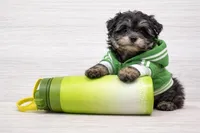 processed/8cfa94de-9769-411d-baaf-866040d96cb4/listing/a6bcd338-b8c6-4297-b3cc-17a6ac768873/509f35fe-5003-485e-b15a-f88c0aaf988c