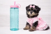 processed/8cfa94de-9769-411d-baaf-866040d96cb4/listing/a6bcd338-b8c6-4297-b3cc-17a6ac768873/756e425d-de25-46de-bb50-1f30ff8691b4